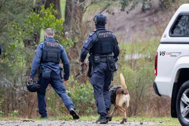 The manhunt at Porepunkah is in its third day. Picture: Jason Edwards