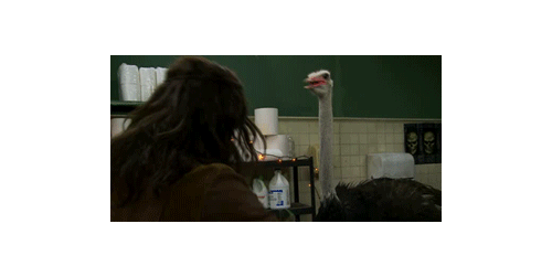 tumblr_lb30s1iYMy1qzaz00o1_500.gif