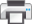 Icon_Print_24H.gif