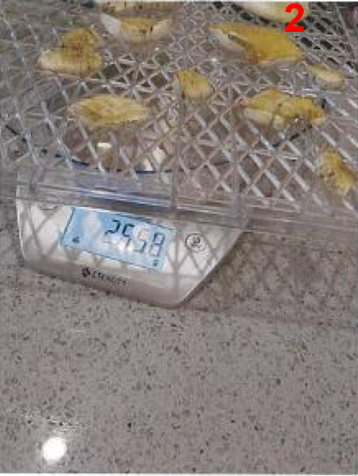 Yellow mushrooms on a scale.