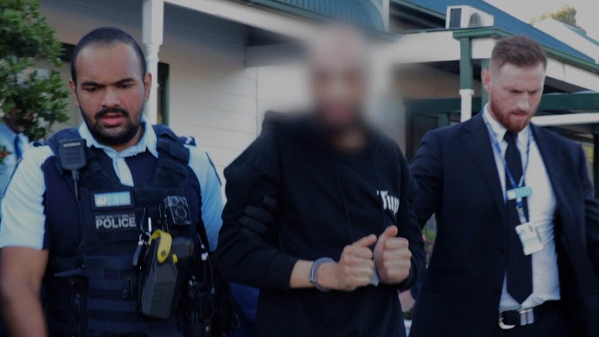 www-dailymail-co-uk.cdn.ampproject.org