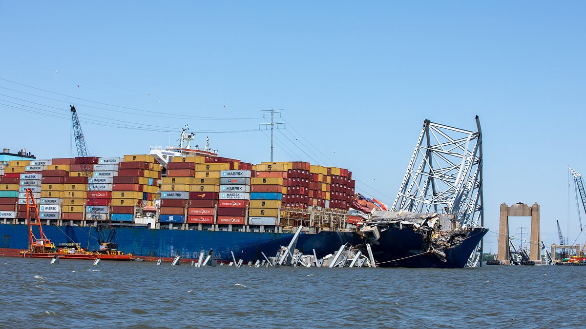 www-dailymail-co-uk.cdn.ampproject.org