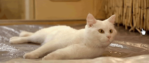 tumblr_m7xv9fJsMd1rba0w4o1_500.gif