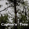 cayleetree.gif