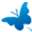 web.archive.org