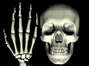 Skull-18-june.gif