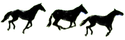 graphics-horses-016328.gif