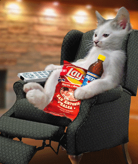tumblr_inline_mjw9lhSHyI1qz4rgp.gif
