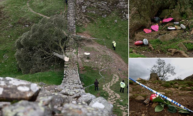 www.dailymail.co.uk
