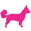 woofganggroomingsarasota.com