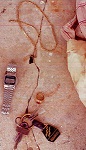 2507UMFL2.jpg