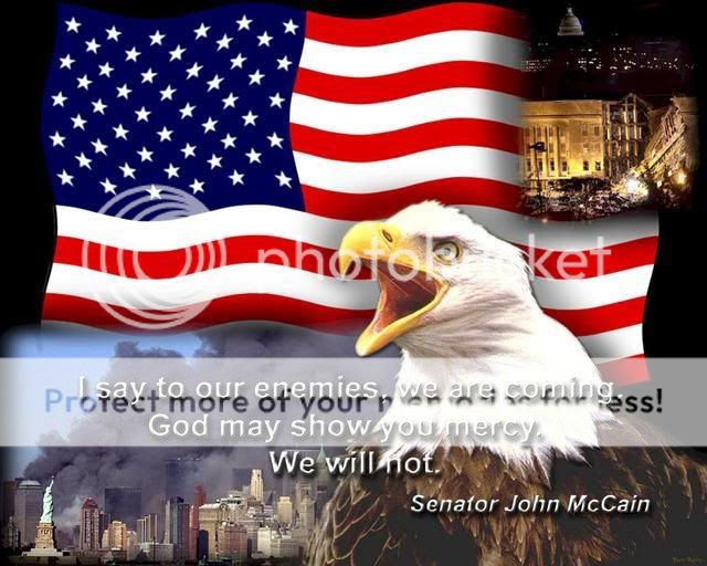 patrotic_flag_maccain.jpg