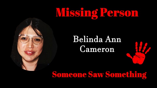 someonesawsomething.ca