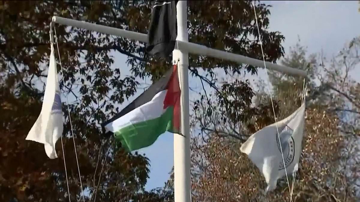 www-dailymail-co-uk.cdn.ampproject.org