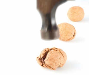 cracking_nuts_s4.jpg