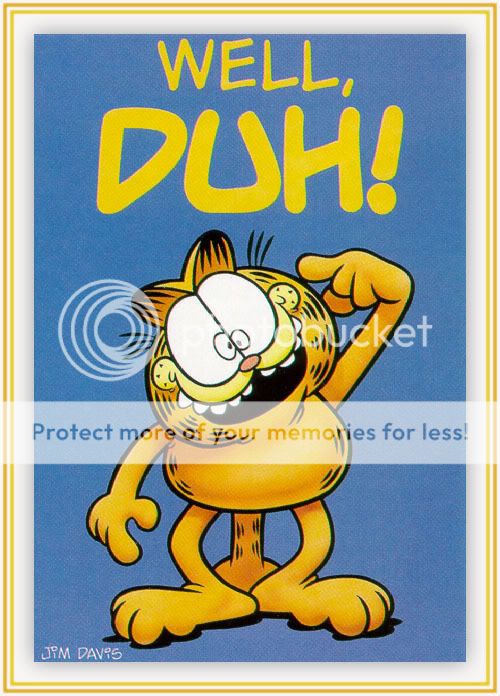 DavisJim-Garfield-16-Duh-sj.jpg