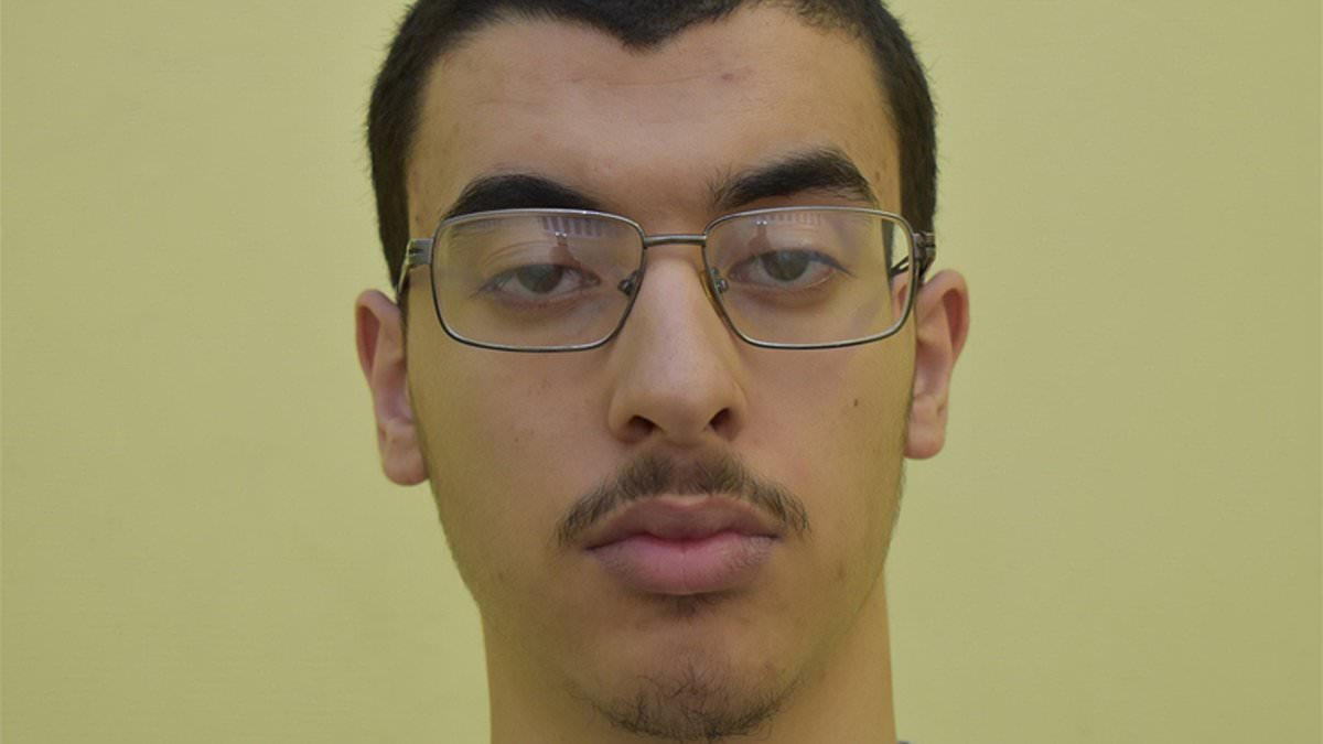 www-dailymail-co-uk.cdn.ampproject.org