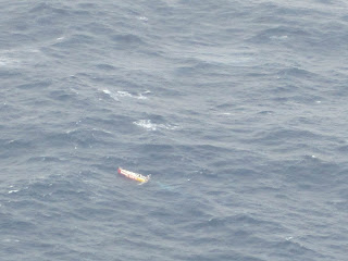 IMG3230.jpg