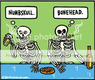 Numbskull-bonehead.jpg