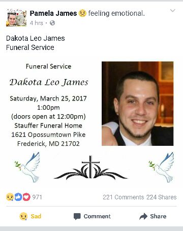 8badc00535e7fb13749b4bf71004896e.jpg