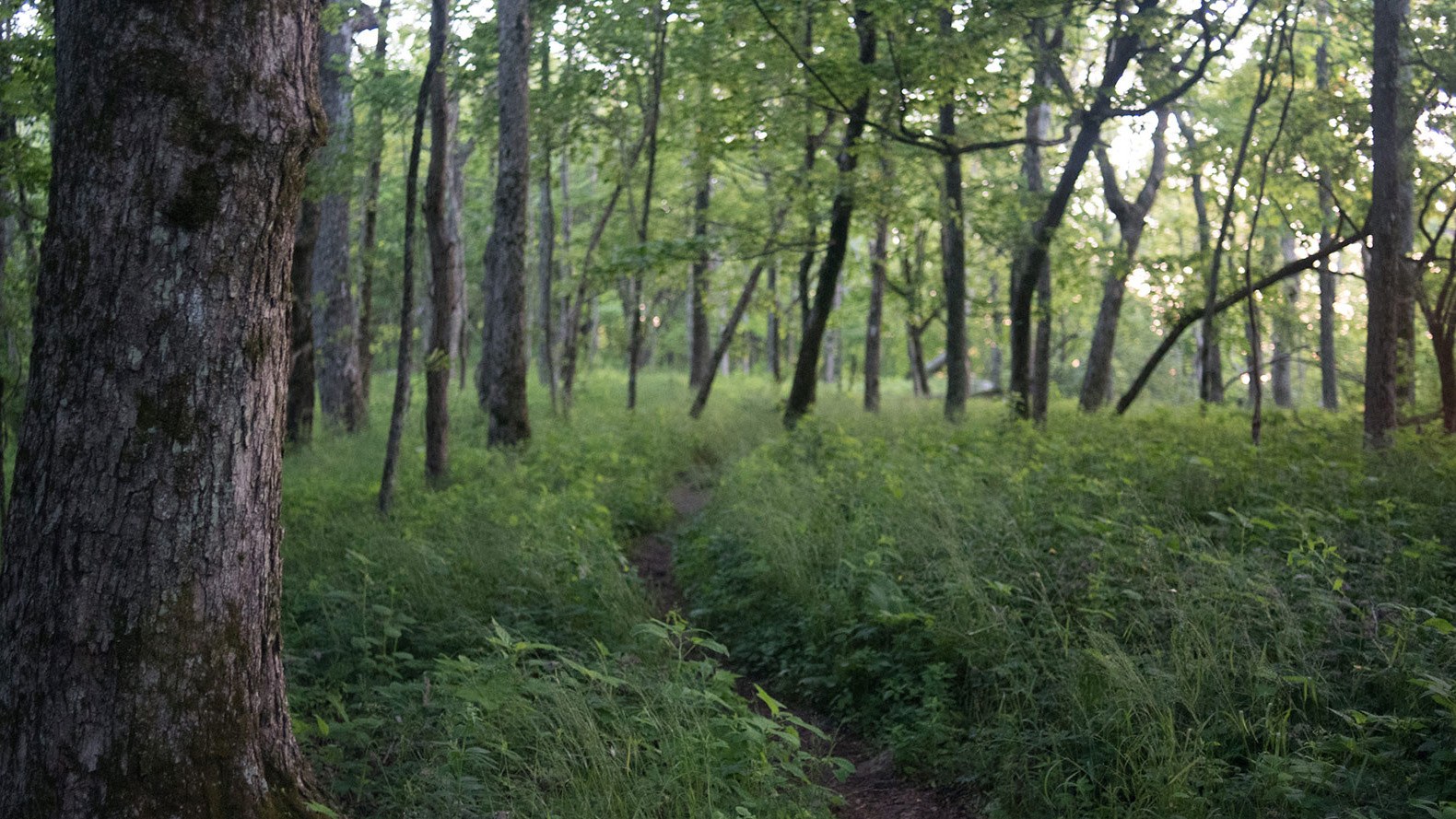 appalachiantrail.org