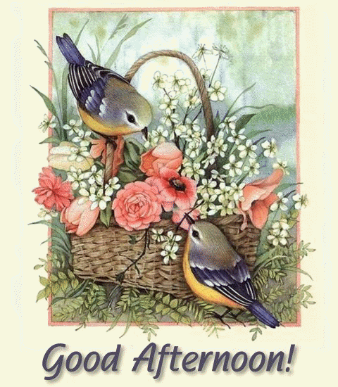 Good-Afternoon-Evening-Greeting.gif