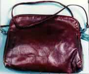 ECampbell_purse.jpg