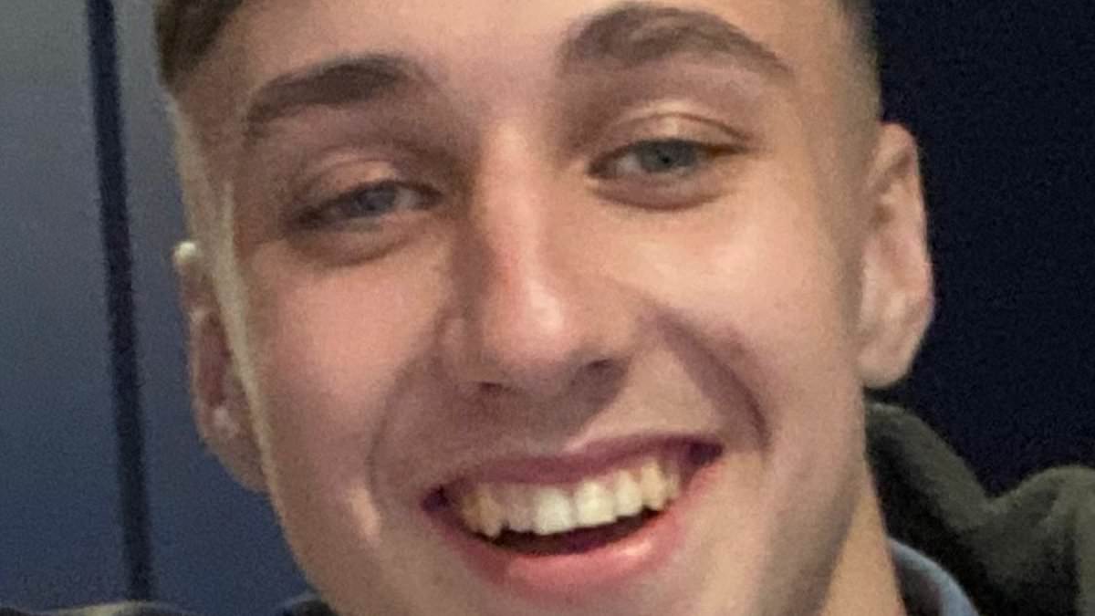 www-dailymail-co-uk.cdn.ampproject.org