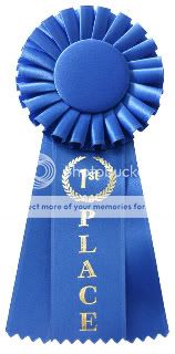 first_place_ribbon.jpg