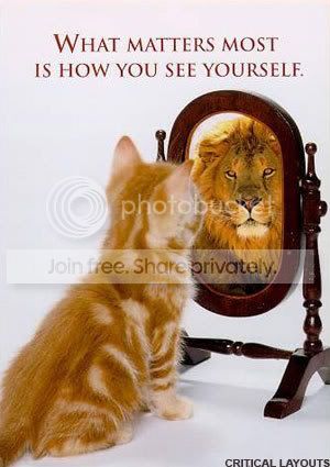 cat-sees-lion-in-mirror.jpg
