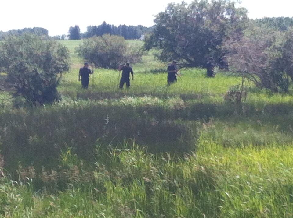 Br-EXq2CQAEPB1g.jpg:large