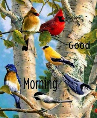 Good-mornig.jpg