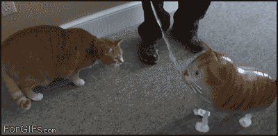 tumblr_lqsjen3MEH1qdlh1io1_400.gif