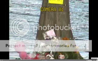 pinkballmemorial.png