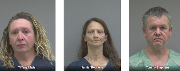 alachuachronicle.com