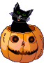4.gif