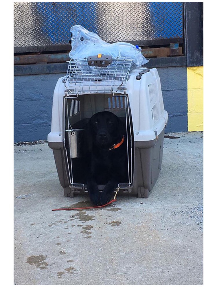 b7e773c00507219e62356214fd339f0b.png