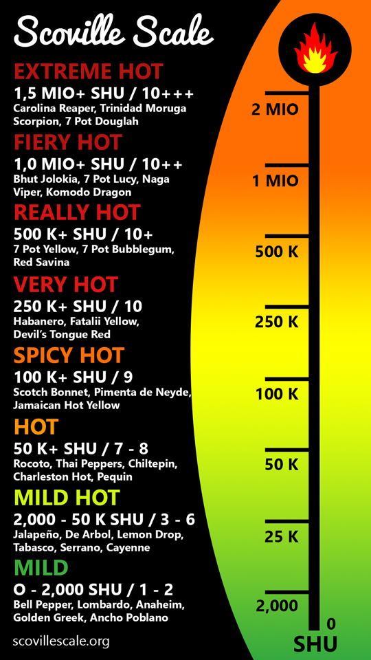 scovillescale.org