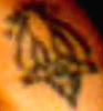 jeremiah_matthew_claypool_12.jpg
