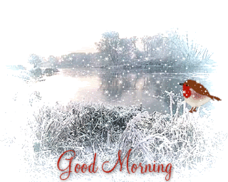 good_morning_snow_robin.gif