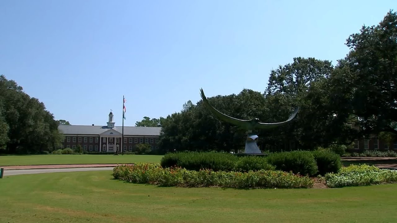 6242366_061120-wtvd-uncw-prof-vid.jpg