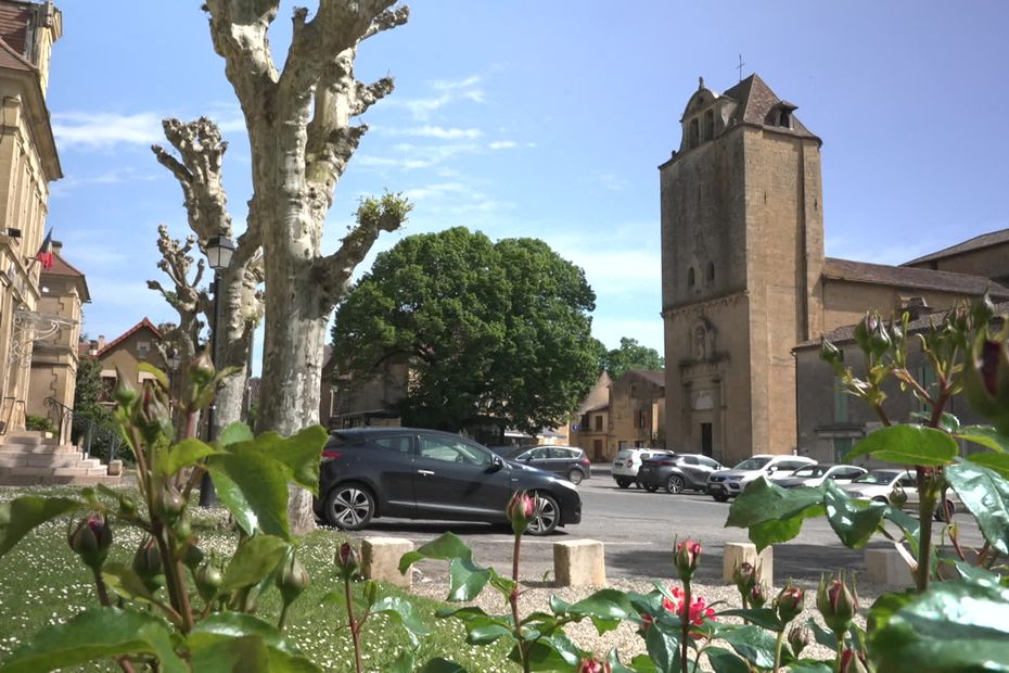 france3-regions.francetvinfo.fr