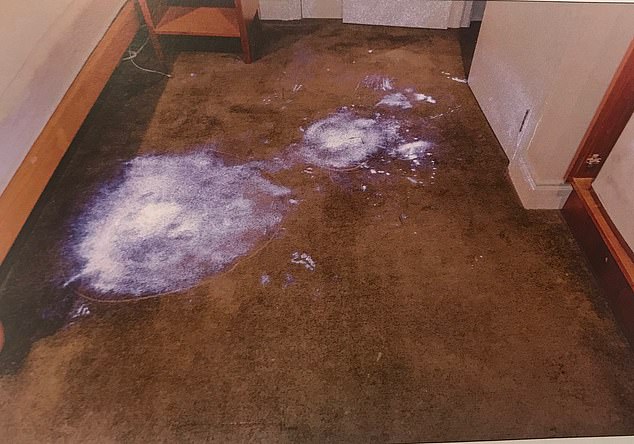 20702104-0-This_image_shows_a_white_substance_on_the_floor_Luminol_which_po-a-9_1573172028990.jpg