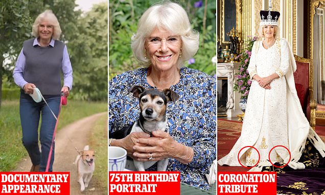 www.dailymail.co.uk