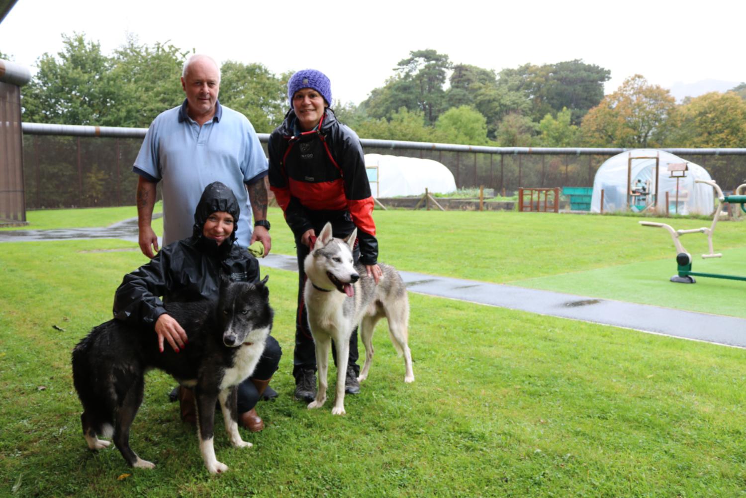 husky therapy husky therapy